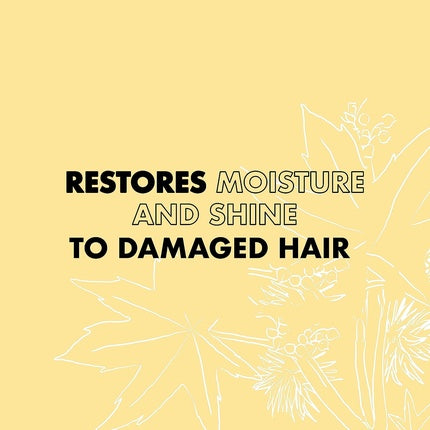 Condiționator fără clătire SheaMoisture Jamaican Black Castor Oil, 431ml