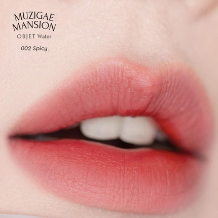 Obiect Water Lip Stain Matte, Ruj, Textură Ușoară, Finisaj Mat