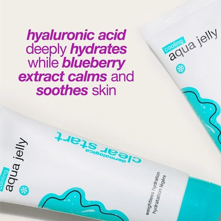 Gel hidratant, Dermalogica Cooling Aqua Jelly, 181g