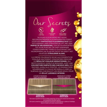 Vopsea de păr, Poly Palette, 388 Blond Cenușiu, 118g