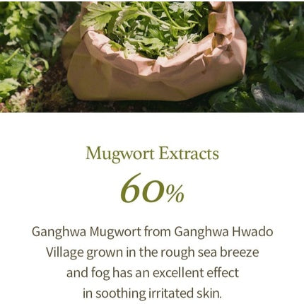 Gel de curățare facială I'M From Mugwort, 150ml
