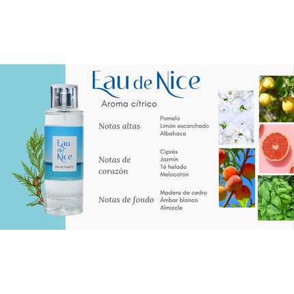 Asepta Eau De Nice - Parfum inspirat de Mediterana și Franța
