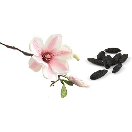 Parfum Derek Lam Looking Glass 175ml, EDP, Maro (Magnolia Chinezească, Tonka Bean)