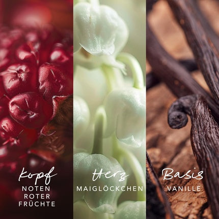Perfum Mexx Inspired Warmth Eau De Parfum pentru femei
