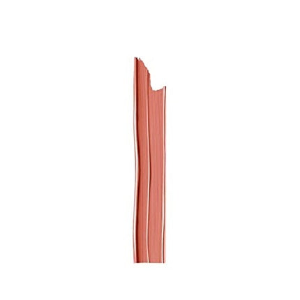 Ruj L'Oréal Paris Color Riche Les Nus Satin 178 Excessive, Culoare Nude