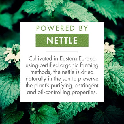 Șampon uscat, Klorane, Urzică, 50 ml