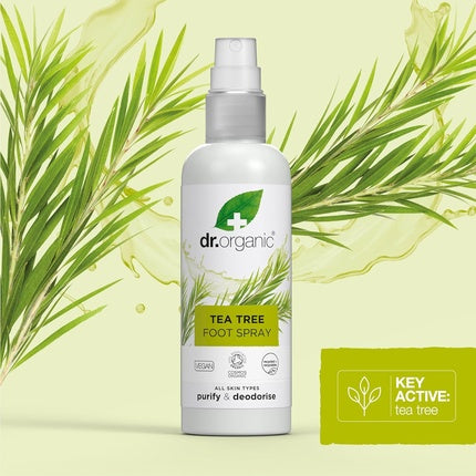 Spray picioare, Dr Organic, Tea Tree, 100ml