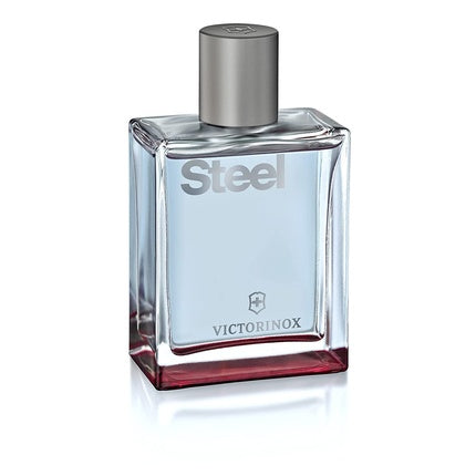 Apă de toaletă, Victorinox Steel, bărbați, 100 ml