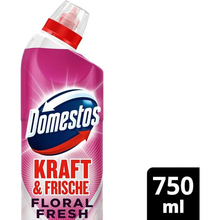 Agent de curățare toaletă Domestos Power & Fresh Floral, 750ml