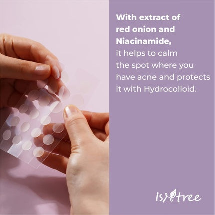 Plasturi Acnee Isntree, Basic, Transparent