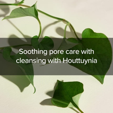 Spumă de Curățare Mary & May pentru Ten cu Probleme Houttuynia Cordata și Tea Tree, 150 ml