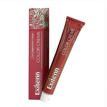 Cremă vopsea păr, Exitenn, Color Creme, 11/0 Ash Blonde, 60 ml