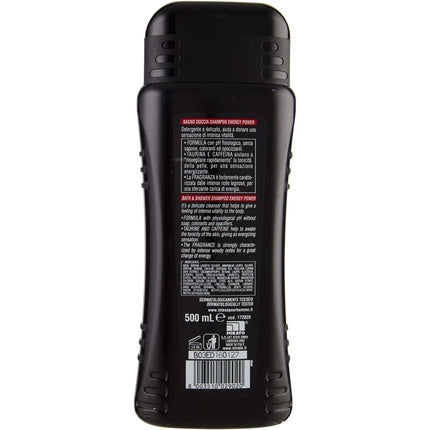 Șampon Intesa Pour Homme, Energy Power, 500ml