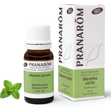 Ulei esențial, Pranarôm, Mentă creață, 10 ml