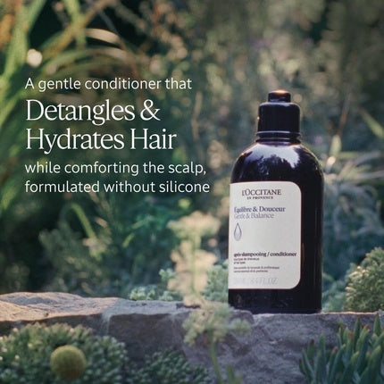 Condiționator L'Occitane Gentle & Balance 250 ml fără silicon