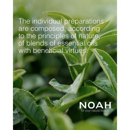 Vopsea de par, Noah, 7.0, blond, bej