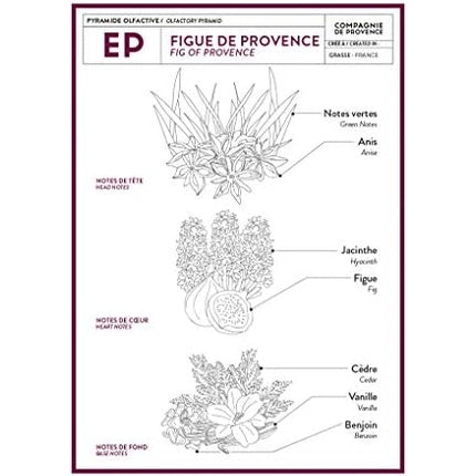 Săpun lichid, Compagnie De Provence, Fig, 1000ml, transparent