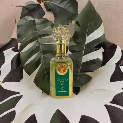 Extrait De Parfum, Paris Corner, Hypnotic Oud, Verde, 100ml