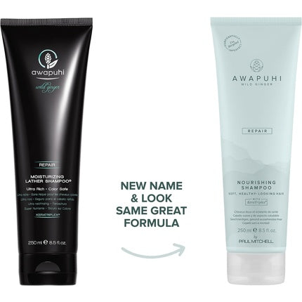 Șampon Awapuhi Wild Ginger, Paul Mitchell, 250ml, albastru deschis