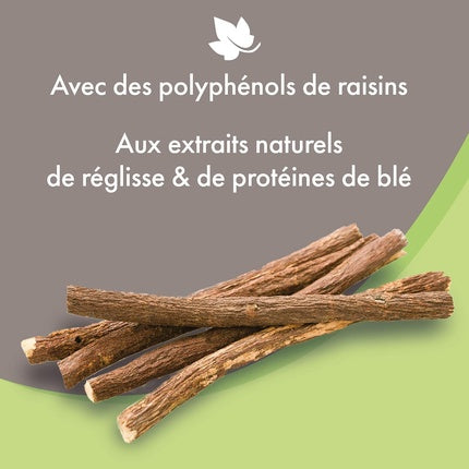 Șampon Beaphar Premium Gentle All Coat pentru câini cu extracte naturale de lemn dulce, 280 g