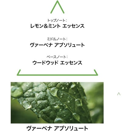 Parfum Le Couvent, Aqua Millefolia, 100ml, verde