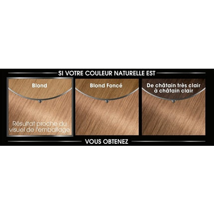 Vopsea de păr, Garnier Olia, 8.31 Blond Auriu Cenușiu