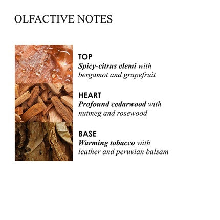 Parfum Molton Brown Tobacco Absolute 100ml, sticlă elegantă