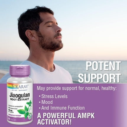 Supliment Solaray Jiaogulan 410mg, 60 Capsule, Alb