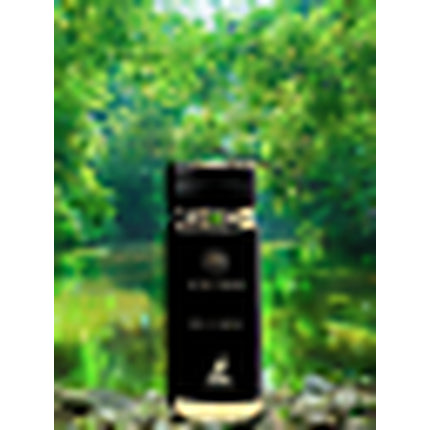 Parfum Maison Alhambra Sceptre Amazonite, 100ml, Eau De Parfum, negru