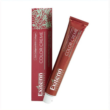 Cremă vopsea de păr, Exitenn Color Creme 93-ex, 60ml