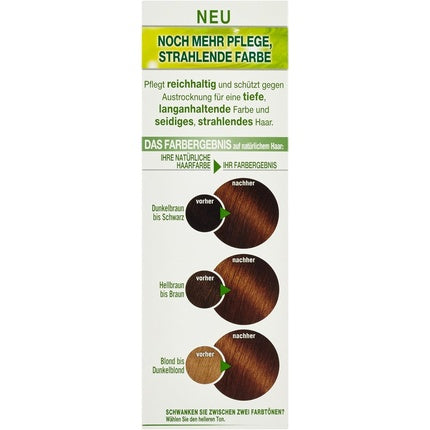 Vopsea de păr Garnier Nutrisse, cremă, maro auriu
