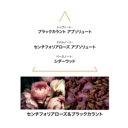 Parfum, Le Couvent, Singulieres Saiga, sticlă transparentă, 100ml