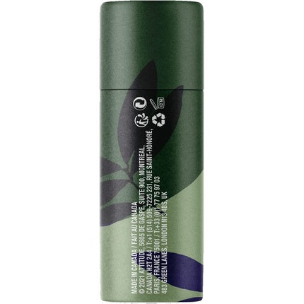 Balsam buze, Attitude, Mint, ambalaj eco