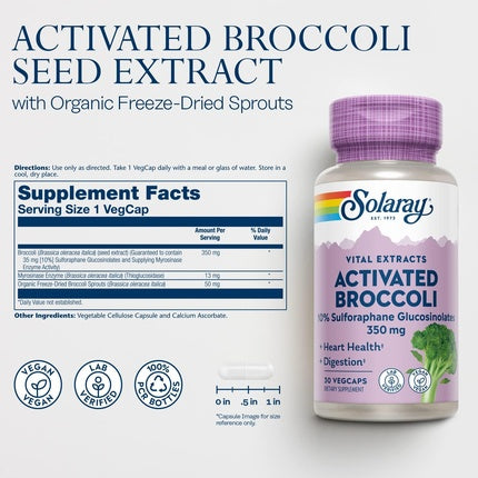 Supliment, Solaray, Extract Activat de Broccoli, 350mg