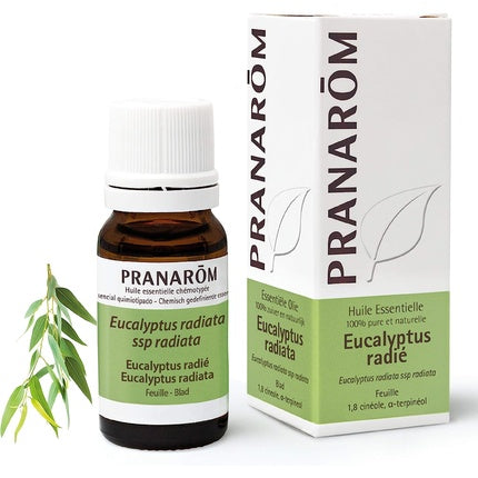 Ulei esențial, Esen, Eucalyptus Radiata, 10ml