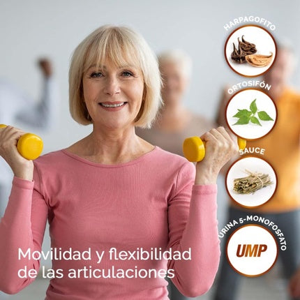 Supliment articulatii Natysal Harpasul Forte 40 capsule