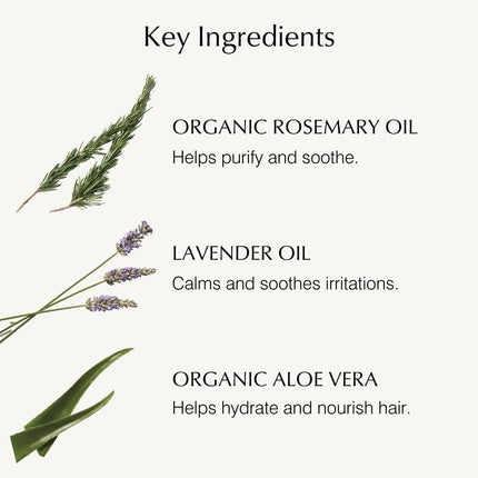 Șampon John Masters Organics Lavender 236ml