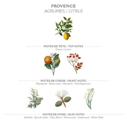 Panier des Sens Eau de Toilette Provence 50ml - Parfum cu ulei esențial