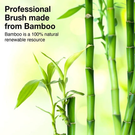 Perie păr Olivia Garden Bamboo Touch, detangle, mărime M