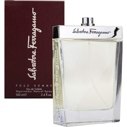 Parfum bărbătesc, Salvatore Ferragamo, Eau De Toilette, 100ml