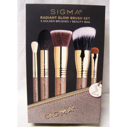 Set pensule machiaj, Sigma Beauty, Radiant Glow, 5 piese, roz