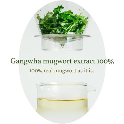 Mască pentru față purificatoare I'M From Mugwort, extract de muguri de pelin, 40 g