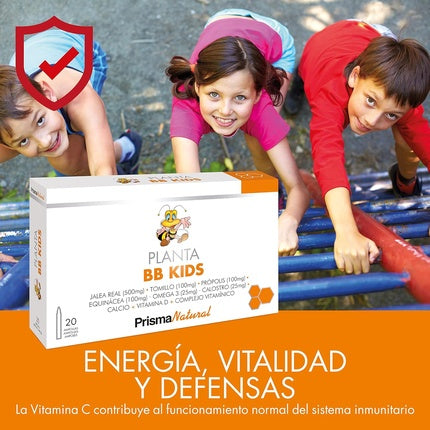 Supliment alimentar, Prisma Natural, Planta BB Kids 20 fiole