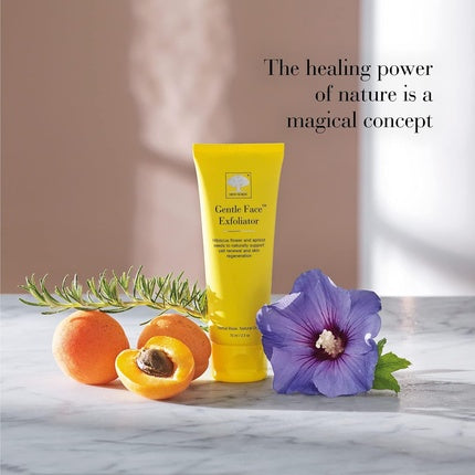 Exfoliant Facial New Nordic cu Semințe de Caise și Hibiscus, 90g