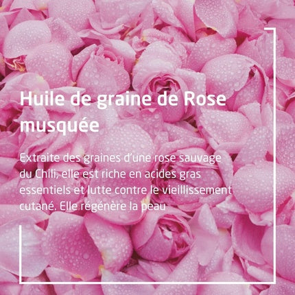 Weleda Rose Deodorant Spray Duo 100ml - Set de 2 Butoiașe Verzi