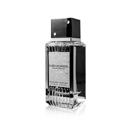Parfum Fragrance World, Memories Pour Homme, 100 ml, argintiu