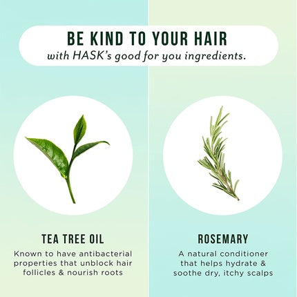 Șampon HASK Tea Tree Oil & Rosemary, 355ml