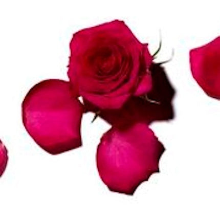 Balzam de buze Benamôr Rose Amélie cu unt de shea și ulei de argan, 12ml, ambalaj alb