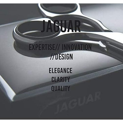 Set foarfeci păr Jaguar Dynasty CC42, inox, 60 mm