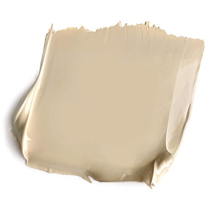 Fond de ten, Paese Cosmetics 302N, cu Aloe Vera, bej